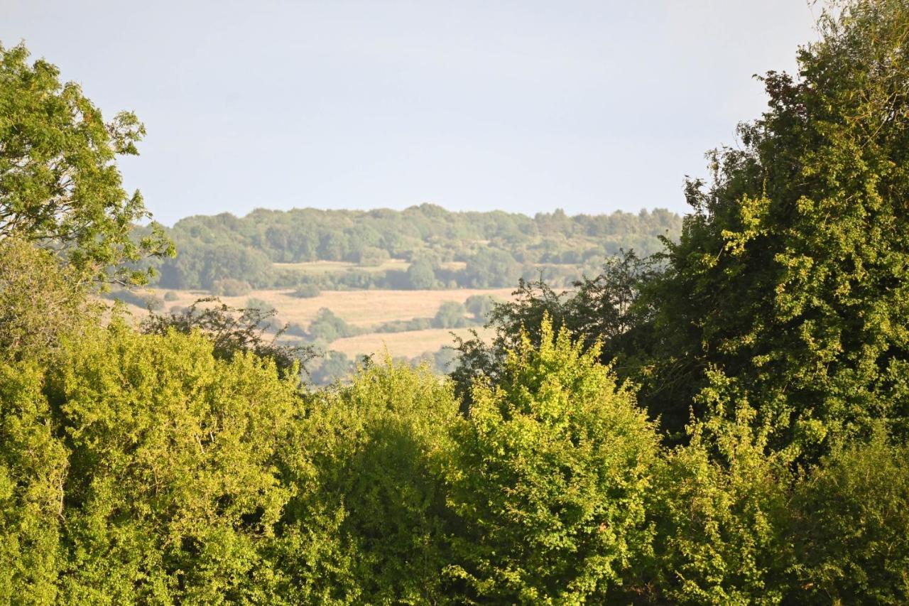 Campsite Sweet Pea Badsey